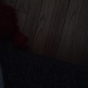 Meet your Posher, Mya